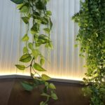 Gewerbliche innen led arena hotel und gastronomie (12)