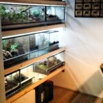 led arena ledbeleuchtung spa kino sauna (12)