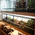 led arena ledbeleuchtung spa kino sauna (14)